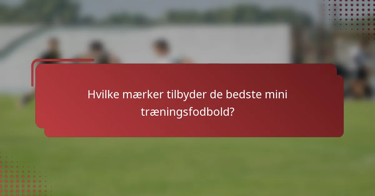 Hvilke mærker tilbyder de bedste mini træningsfodbold?